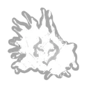 "Shadow Dance" - Blood